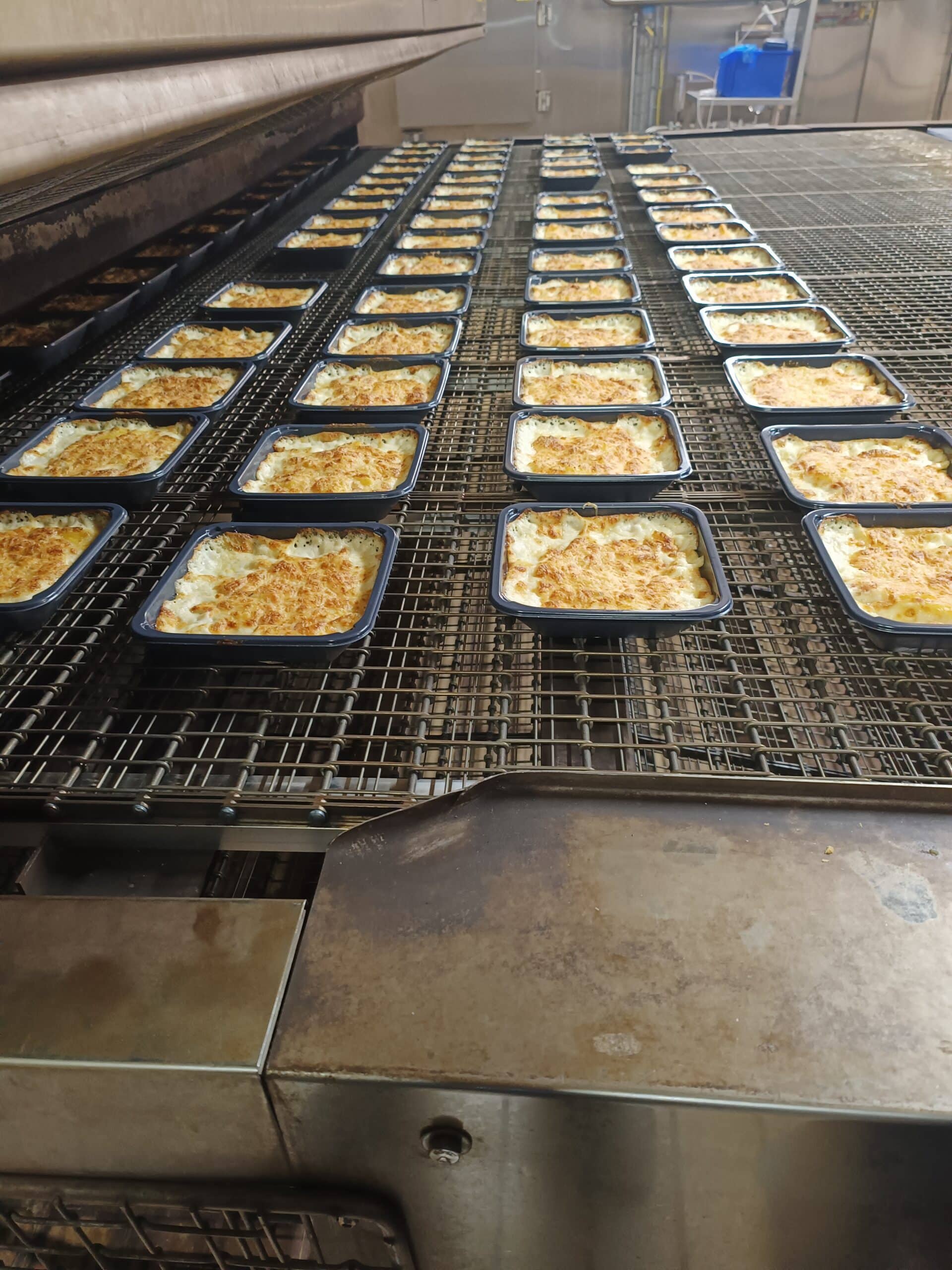 Des rangées de gratins dorés sur un convoyeur métallique dans une usine de production alimentaire industrielle.